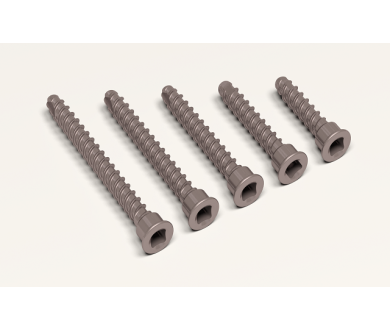 Titanium cortical screw, square head