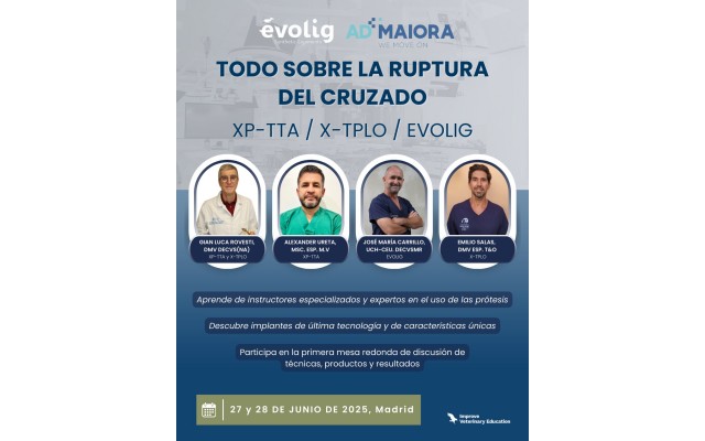 Curso completo - Todo sobre la ruptura del cruzado