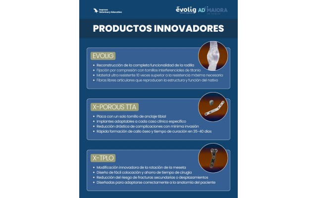 Curso completo - Todo sobre la ruptura del cruzado