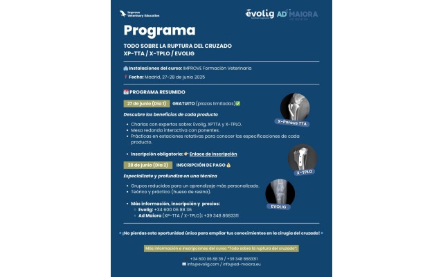 Curso completo - Todo sobre la ruptura del cruzado